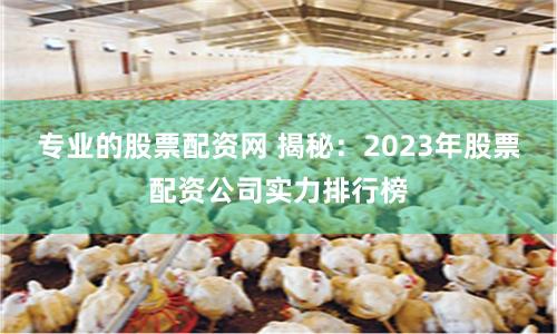 专业的股票配资网 揭秘：2023年股票配资公司实力排行榜