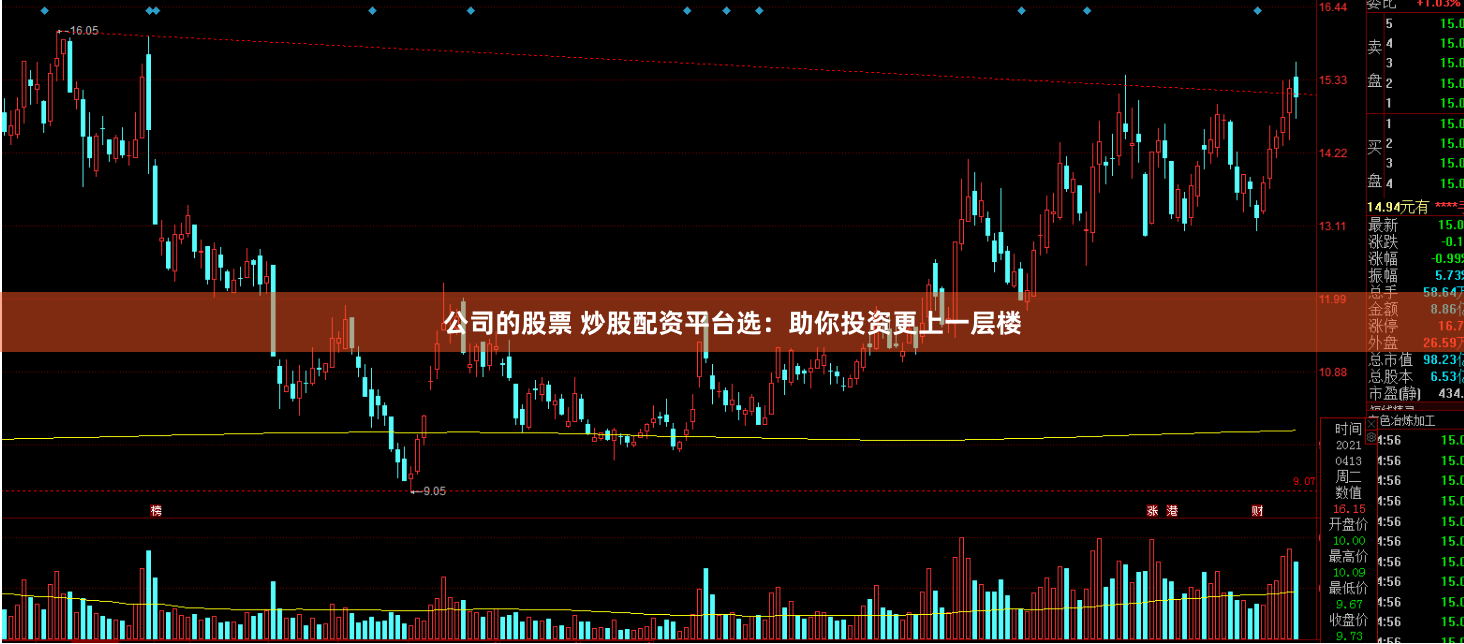 公司的股票 炒股配资平台选：助你投资更上一层楼